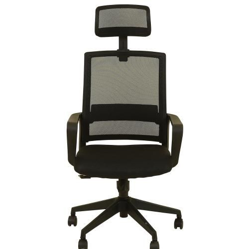 Lifemate Executive Ergonomic Mesh Office Chair~BP816
